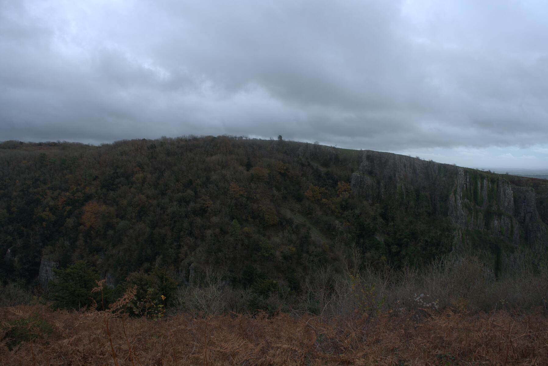 A view over trees and stuff.