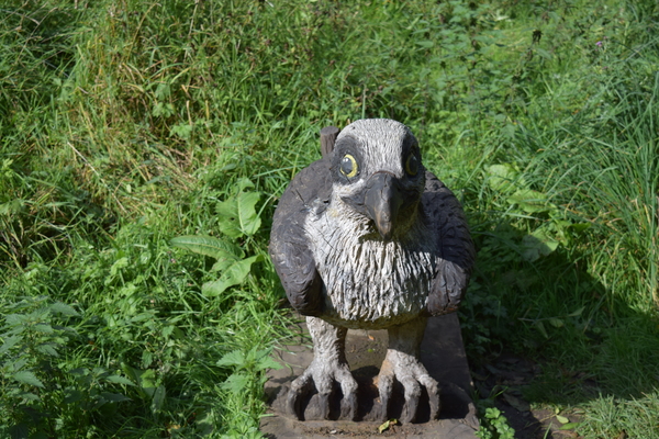 Osprey Carving