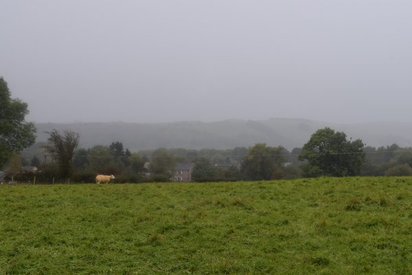 A view out of the rain and mist